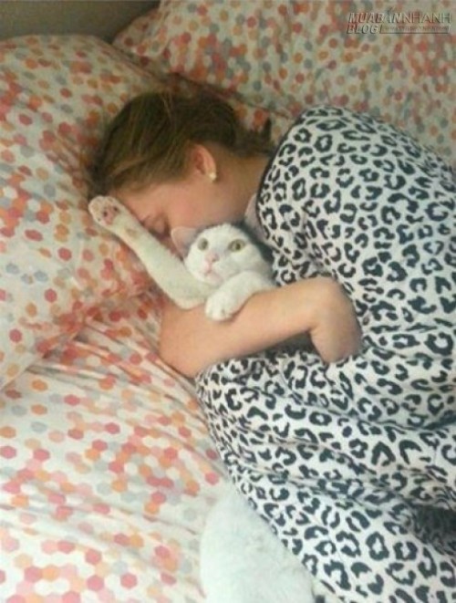 Không thể nhịn cười với những con vật này