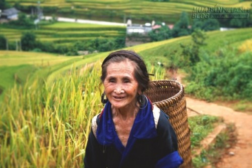 Cuộc sống trên rẻo cao Mù Cang Chải
