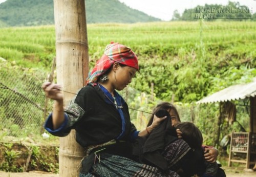 Cuộc sống trên rẻo cao Mù Cang Chải