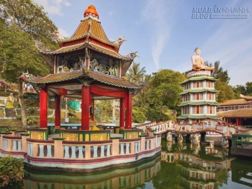 Dân bản xứ tiết lộ trải nghiệm cần có khi du lịch Singapore