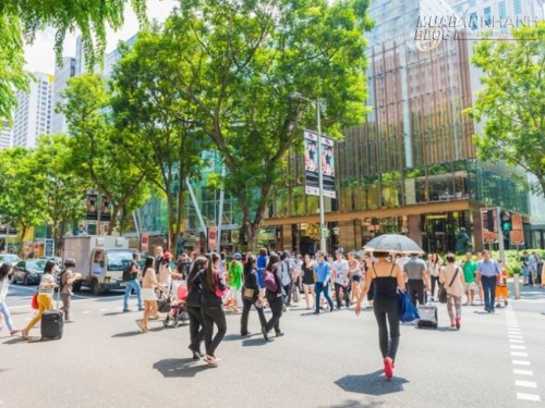 Dân bản xứ tiết lộ trải nghiệm cần có khi du lịch Singapore