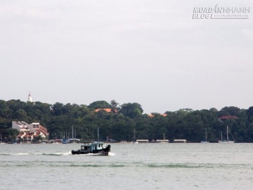 Dân bản xứ tiết lộ trải nghiệm cần có khi du lịch Singapore