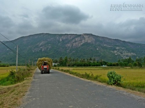 Khám phá biển Bình Tiên – viên ngọc ẩn giấu của du lịch Ninh Thuận