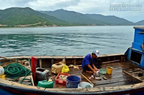 Khám phá biển Bình Tiên – viên ngọc ẩn giấu của du lịch Ninh Thuận