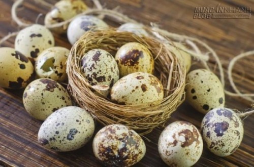 Bỏ túi 6 cách làm đẹp lạ lùng với trứng chim cút