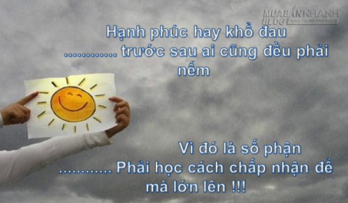 Chấp nhận và hạnh phúc