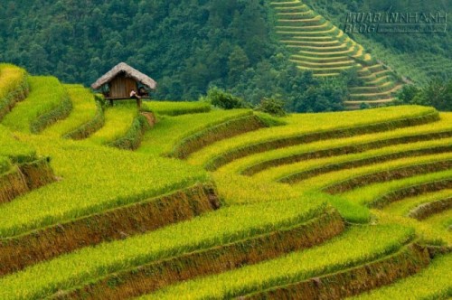 10 trải nghiệm thú vị lôi kéo khách du lịch Philippines