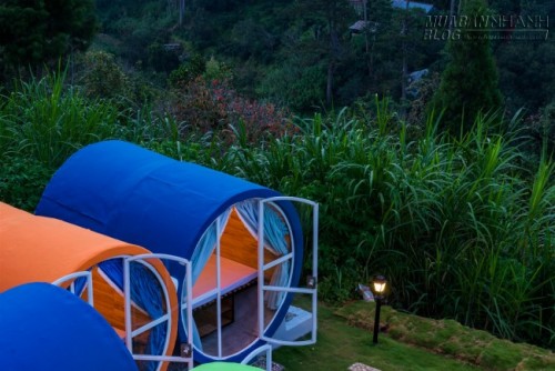 Sốt xình xịch HOSTEL ỐNG TRÒN chỉ 200k/đêm ở Đà Lạt