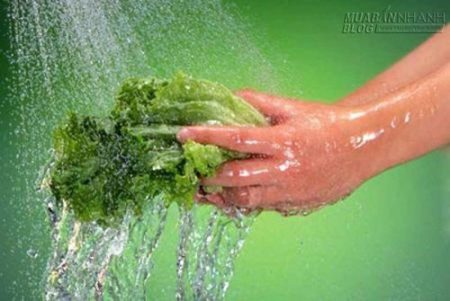 9 cách khử thuốc trừ sâu trong rau quả