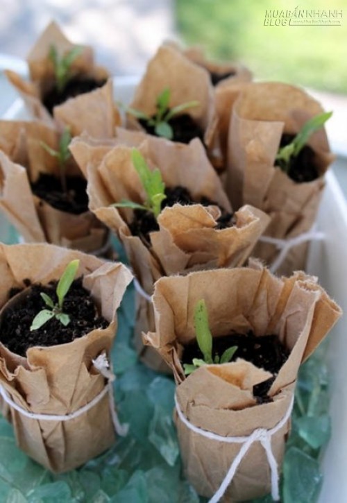 1001 công dụng bất ngờ của lõi giấy vệ sinh