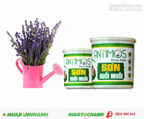 Sơn m&agrave;u đuổi gi&aacute;n Antimos | Quy c&aacute;ch: 1000ml | Gi&aacute;: 250.000đ | M&ocirc; tả: C&aacute;c đồ nội thất vật dụng như b&agrave;n ghế, tử quần &aacute;o, c&aacute;c đồ mĩ nghệ... đều c&oacute; thể sử dụng sơn Antimos m&agrave; kh&ocirc;ng sợ bị ảnh hưởng đến chất lượng sau khi sơn. Antimos l&agrave; sơn trong c&oacute; bề mặt b&aacute;n mờ, Khi mới được sơn, bề mặt sơn c&oacute; m&agrave;u xanh dương v&agrave; sẽ dần dần trả lại m&agrave;u sắc vốn c&oacute; của tường nh&agrave; bạn., 5