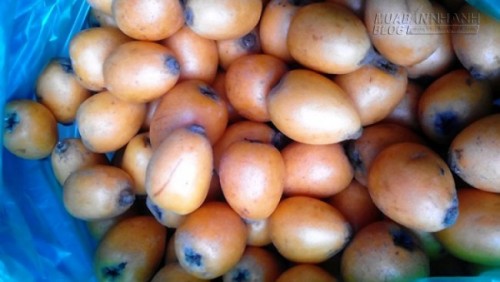 Du lịch Lào Cai thưởng thức những đặc sản ăn một lần nhớ mãi