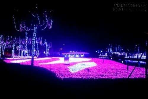 Những con đường đón Giáng sinh và năm mới rực rỡ nhất Sài Gòn
