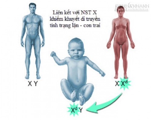 Con trai: Thừa hưởng trí thông minh từ mẹ – Tính cách từ cha