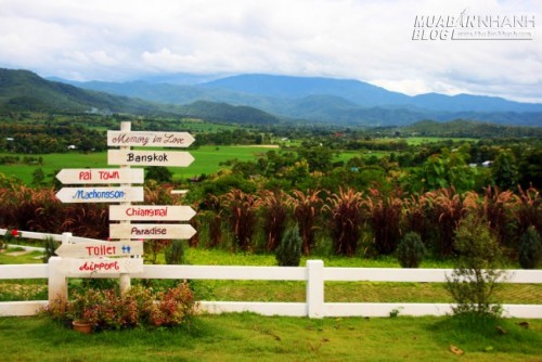 Thị trấn Pai điểm đến ai cũng yêu của du lịch Thái Lan