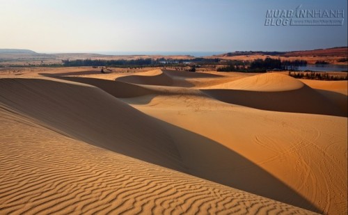 Du lịch Phan Thiết đừng quên ghé thăm Bàu Trắng