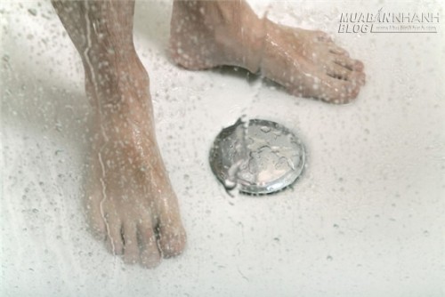 9 câu chuyện kì lạ nhất năm 2015