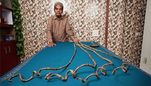 9 câu chuyện kì lạ nhất năm 2015