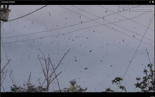 9 câu chuyện kì lạ nhất năm 2015