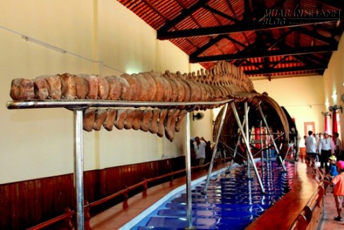 Ba ngày khám phá Đà Lạt – Phan Thiết