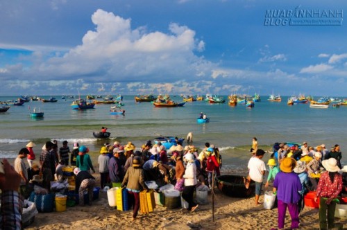 Mũi Kê Gà – Điểm đến không thể bỏ qua khi du lịch Phan Thiết