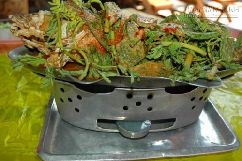 Những đặc sản Thái Lan kỳ lạ nhưng ngon miệng