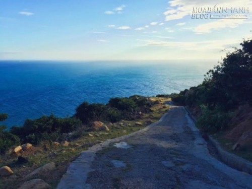 Cung đường ven biển Mũi Dinh – Bãi Tràng đầu năm