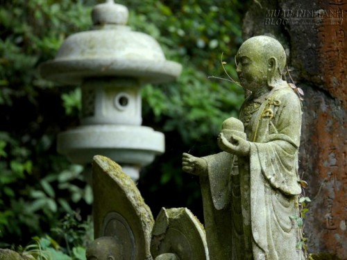 Người lương thiện có Thần linh bảo hộ, dù hổ dữ cũng không hề động tới