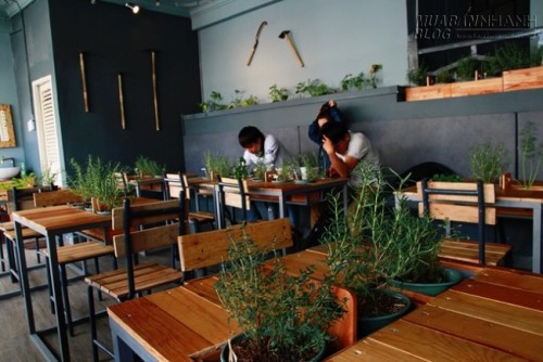 Quán cà phê rau nhất định phải ghé khi du lịch Đà Lạt