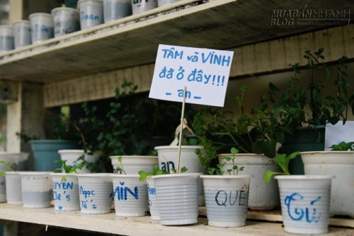 Quán cà phê rau nhất định phải ghé khi du lịch Đà Lạt