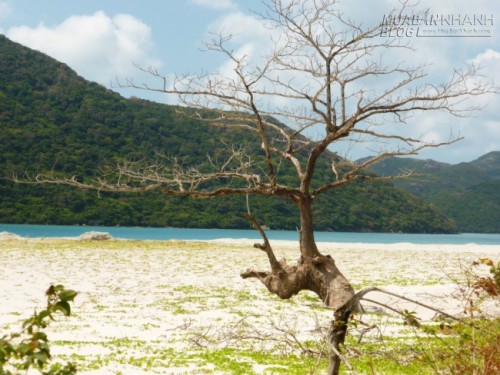 Du lịch Côn Đảo – điểm đến lý tưởng để sống chậm