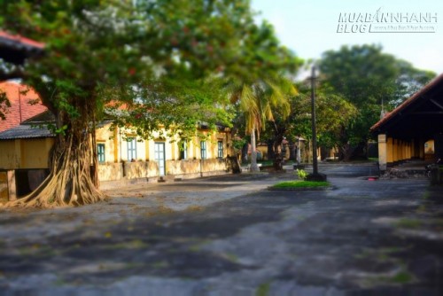 Du lịch Côn Đảo – điểm đến lý tưởng để sống chậm