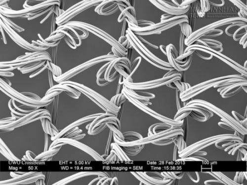 Dưới lăng kính hiển vi, mọi thứ tầm thường quanh ta trở nên thật vi diệu