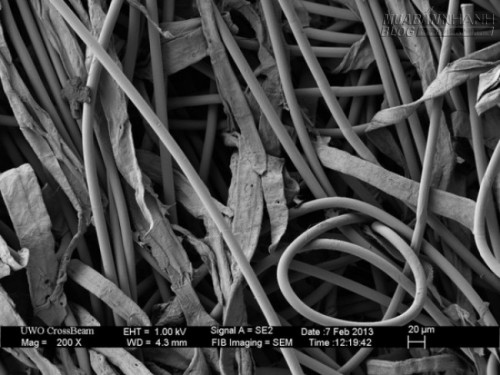 Dưới lăng kính hiển vi, mọi thứ tầm thường quanh ta trở nên thật vi diệu