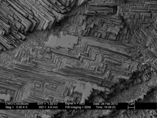 Dưới lăng kính hiển vi, mọi thứ tầm thường quanh ta trở nên thật vi diệu