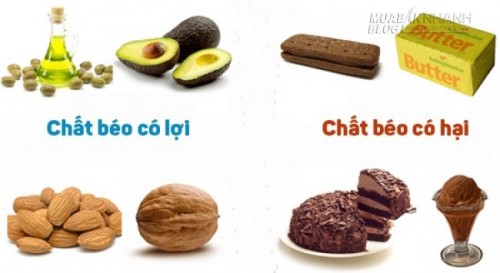 Những loại thực phẩm chứa chất béo tốt mà bạn nên ăn