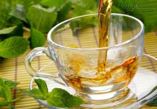 Hiệu quả ngừa ung thư bất ngờ của Húng lủi