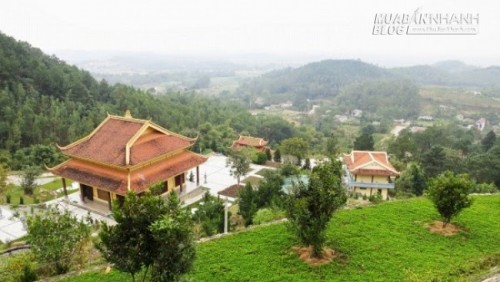 Đầu năm du xuân Thiền viện Trúc Lâm An Tâm