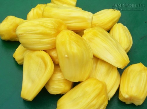 Các bài thuốc chữa bệnh cực hay từ cây mít vườn quý hơn vàng