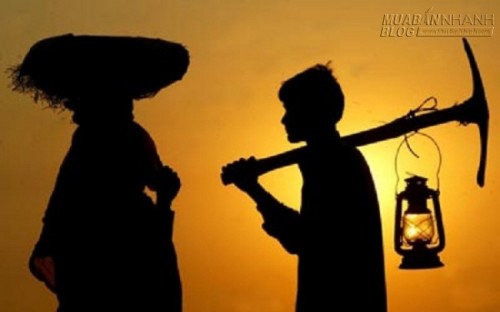 Cậu bé thông minh: Tay của người chủ quán to hơn…