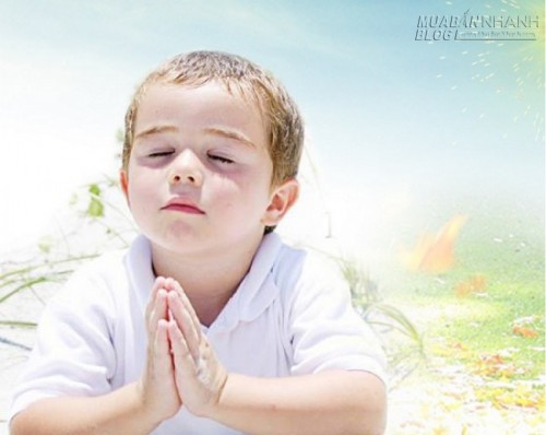 Cậu bé thông minh: Tay của người chủ quán to hơn…