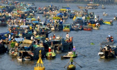 Khám phá bảo tàng rắn lớn nhất Đông Nam Á ở Tiền Giang