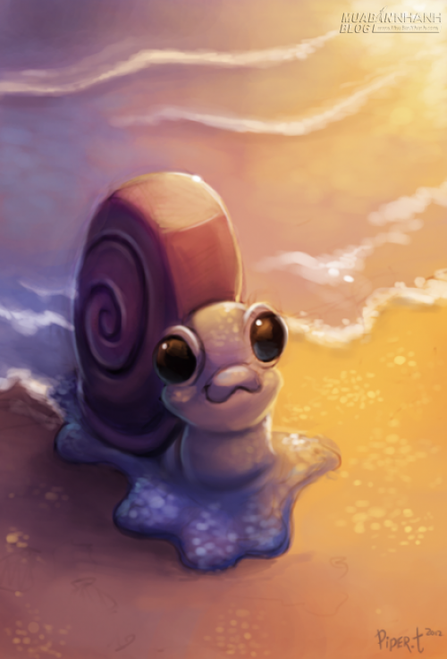 Ốc nhỏ thu mình, bình yên trong vỏ