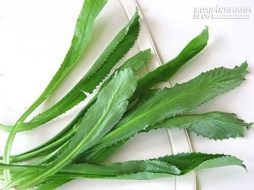 Tuyệt chiêu trị nám da, trị mụn và hôi miệng từ rau mùi tàu