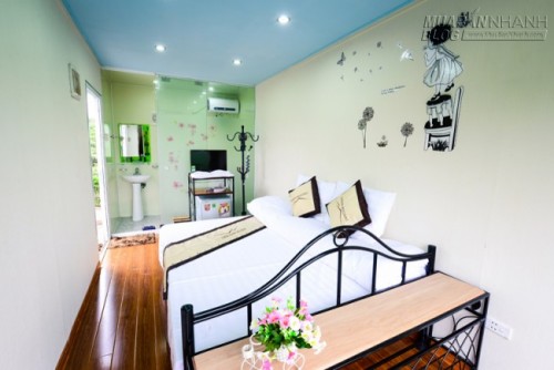 Du lịch Mộc Châu ngủ bungalow container ngắm những đồi chè xanh mát