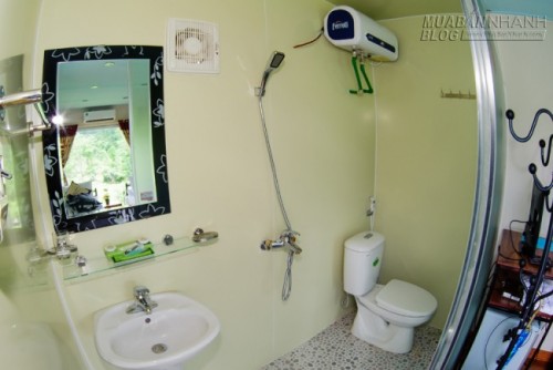 Du lịch Mộc Châu ngủ bungalow container ngắm những đồi chè xanh mát