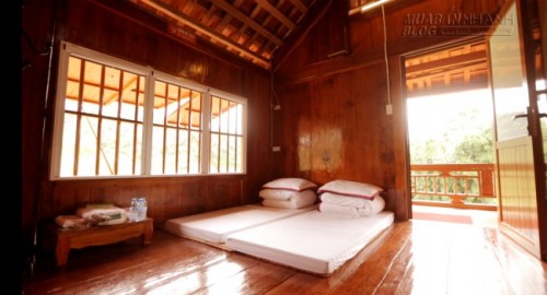 Du lịch Mộc Châu ngủ bungalow container ngắm những đồi chè xanh mát