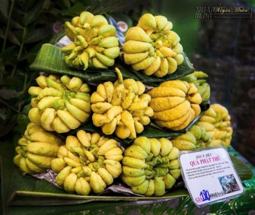 Há hốc mồm với những loại trái cây kỳ lạ nhất thế giới - Việt Nam hốt trọn một nửa