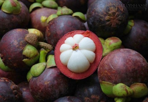 Há hốc mồm với những loại trái cây kỳ lạ nhất thế giới - Việt Nam hốt trọn một nửa