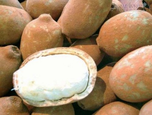 Há hốc mồm với những loại trái cây kỳ lạ nhất thế giới - Việt Nam hốt trọn một nửa